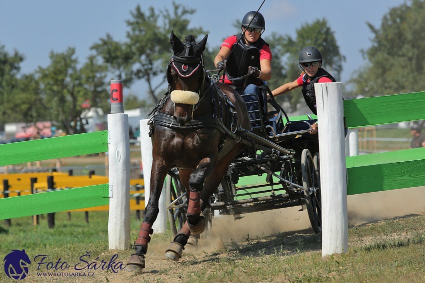 Canadian Drivers Kick Into High Gear for Summer Competitions